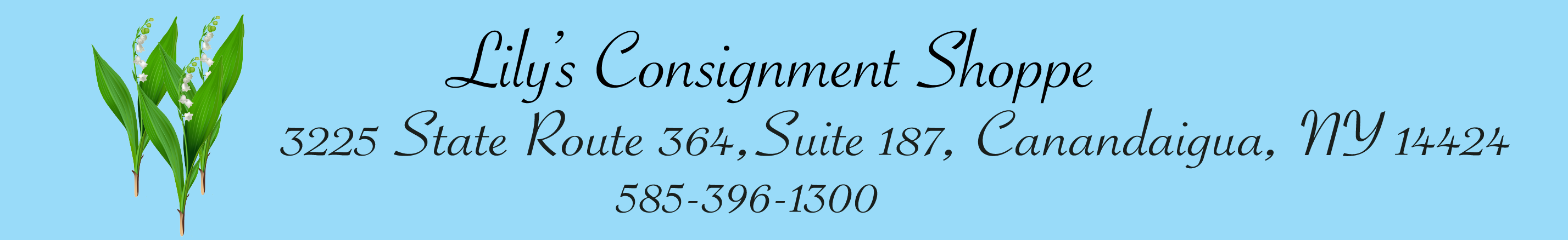 Lily's consignment shoppe, high quality jewelry, knickknacks, small furnature, clothing for the whole family